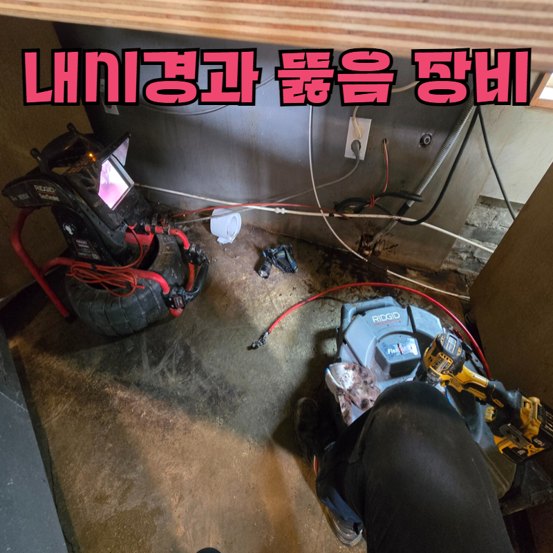 제목을 입력하세요 - 2025-04-29T220322.735